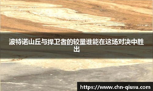 球速体育公司