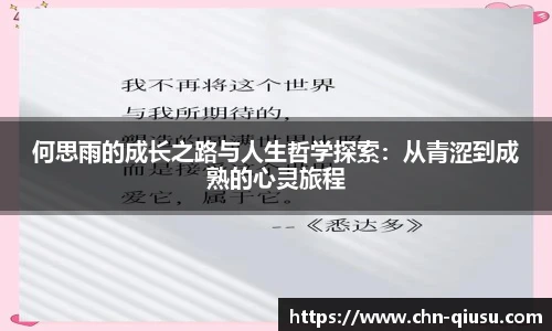 球速体育官网