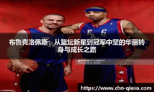 球速体育公司