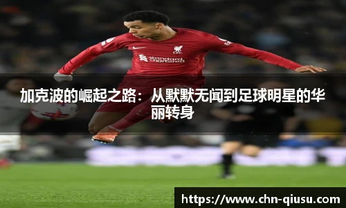 球速体育