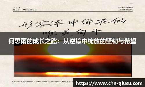 球速体育公司